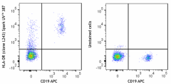 Spark UV™ 387 anti-human HLA-DR Antibody (307689)