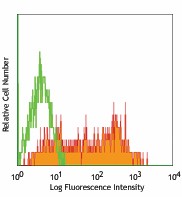 FITC anti-mouse CD25 Antibody (101907)