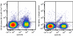 APC/Fire™ 750 anti-mouse CD138 (Syndecan-1) Antibody (142541)