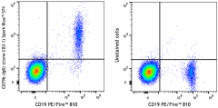 Spark Blue™ 574 anti-human CD79b (Igβ) Antibody (341437)