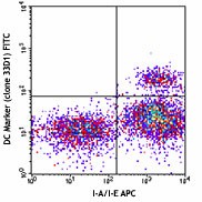 FITC anti-mouse DC Marker (33D1) Antibody (124907)