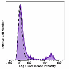 Purified anti-mouse CD3ε Recombinant Antibody (155702)