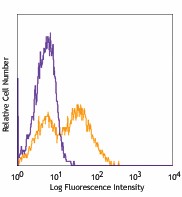 Pacific Blue™ anti-mouse CD80 Antibody (104723)