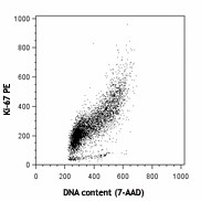 PE anti-human Ki-67 Antibody (350503)