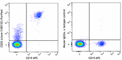 Purified anti-human CD20 Antibody (375502)