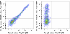 Purified anti-SARS-CoV-2 S Protein S1 Antibody (945101)