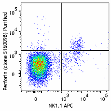 Purified anti-mouse Perforin Antibody (154402)