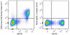 Brilliant Violet 421™ anti-mouse CD28 Antibody (122023)