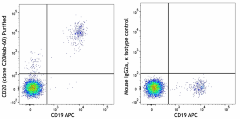 Purified anti-human CD20 Antibody (382802)