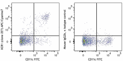 APC/Cyanine7 anti-mouse/rat XCR1 Antibody (148223)