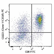 PE anti-human CD223 (LAG-3) Antibody (369305)
