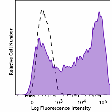 Purified anti-human CD209 (DC-SIGN) Antibody (380402)