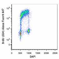 Alexa Fluor® 647 anti-BrdU Antibody (364107)