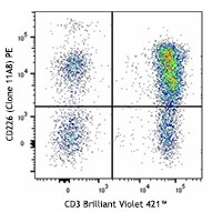 PE anti-human CD226 (DNAM-1) Antibody (338305)