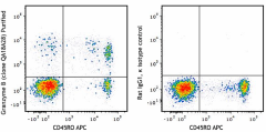 Purified anti-human/mouse Granzyme B Recombinant Antibody (396402)