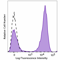 PE/Fire™ 744 Goat anti-mouse IgG (minimal x-reactivity) Antibody (405346)