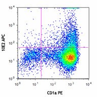 APC anti-human CD207 (Langerin) Antibody (352205)