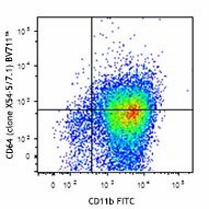 Brilliant Violet 711™ anti-mouse CD64 (FcγRI) Antibody (139311)