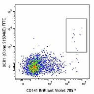 FITC anti-human XCR1 Antibody (372611)
