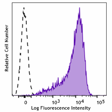 Purified anti-human CD90 (Thy1) Recombinant Antibody (388102)