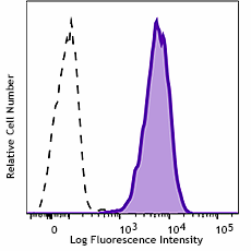 APC anti-mouse CD204 Antibody (154711)