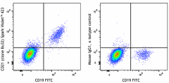 Spark Violet™ 423 anti-human CD21 Antibody (354935)