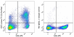 Purified anti-mouse CD73 Antibody (117202)
