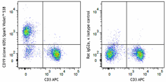 Spark Violet™ 538 anti-mouse CD19 Antibody (115591)