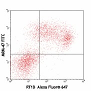 FITC anti-rat IgM Antibody (408905)