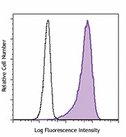 Purified anti-human Sialyl Lewis X (dimeric) Antibody (368102)