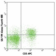 Alexa Fluor® 488 anti-mouse CD127 (IL-7Rα) Antibody (121107)