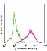 Biotin anti-mouse Podoplanin Antibody (127403)