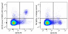 APC/Cyanine7 anti-mouse CD170 (Siglec-F) Antibody (155531)