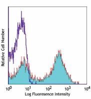 Alexa Fluor® 647 anti-mouse CD24 Antibody (101817)