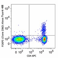 Alexa Fluor® 488 anti-human FOXP3 Antibody (320111)