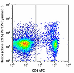 PerCP/Cyanine5.5 anti-mouse/human Helios Antibody (137229)