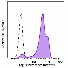 Purified anti-ZAP-70 Antibody (693502)