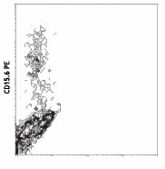 PE anti-mouse IL-12/IL-23 p40 (monomer, dimer, heterodimer) Antibody (505203)