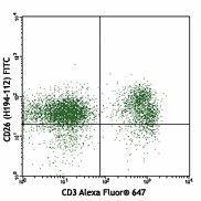 FITC anti-mouse CD26 (DPP-4) Antibody (137805)