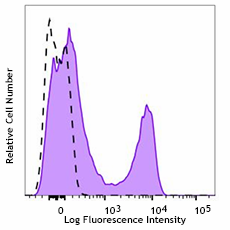 APC/Fire™ 750 anti-mouse CD90.2 (Thy1.2) Antibody (105348)