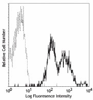 PE anti-human CD29 Antibody (303003)