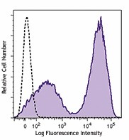 PE/Dazzle™ 594 anti-mouse I-A/I-E Antibody (107647)