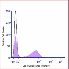 Cell-Vive™ GMP Ultra-LEAF™ Purified anti-HU CD28 RecAb SF (377613)