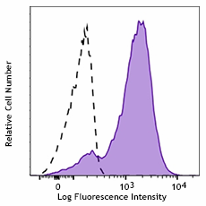 PerCP/Cyanine5.5 anti-Tubulin β 3 (TUBB3) Antibody (801215)