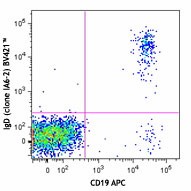 Brilliant Violet 421™ anti-human IgD Antibody (348225)