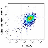 Brilliant Violet 605™ anti-mouse CD115 (CSF-1R) Antibody (135517)