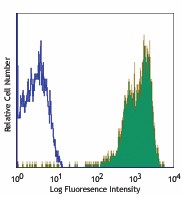 PE anti-human CD18 Antibody (302107)