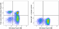 Alexa Fluor® 594 anti-T-bet Antibody (644833)