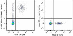 Purified anti-human HLA-DR Recombinant Antibody (365602)