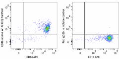 Purified anti-human CD86 Antibody (381002)